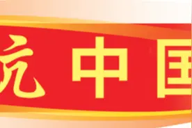 领航中国丨记者探访北海市铁山港公用码头首批岸桥作业现场图片