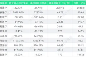 热门赛道半年报•医疗器械丨板块持续分化，九安医疗赚152亿成盈利王 出海淘金升温，迈瑞医疗境外收入占比近四成图片