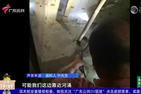 佛山：银环蛇深夜溜入家中 村委多人合力成功捕获视频封面