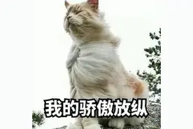 “帮我问问，限速120，我开220算超速么？”网友：好嘞图片