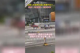 昆明街头大爷驾马车出行图片