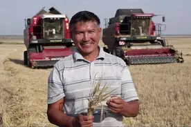 通讯：从哈萨克斯坦小麦到陕西“biangbiang面”图片