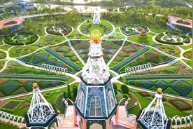 免费了！浦江郊野公园奇迹花园邀市民免票赏秋花图片