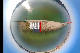 长江江心惊现“巨型大鲤鱼”视频封面