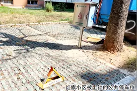 安庆一小区，公共车位被私自加装地锁和充电桩？图片