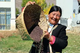 瞭望 | 西藏隆子：在喜马拉雅深处固边富民图片