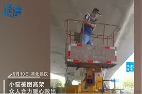 热心市民发小猫被困视频上网求助，网友协力叫高空车施救，发布者：不经意的举动救下了小生命图片