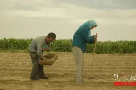 新民艺评丨电影《隐入尘烟》里的名画美学图片