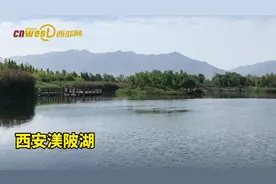 视频丨西安渼陂湖：关中山水最佳处，湖光山色美如画图片