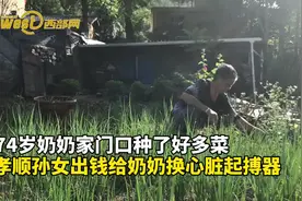视频丨孝顺孙女出钱给奶奶装心脏起搏器，奶奶说过得舒服，享孙女的福图片