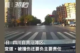 30秒｜变道不让直行车，被撞伤还要负主要责任图片