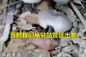 云南戍边民警特有福利！巡逻时，脚下突然出现大波鸡枞图片