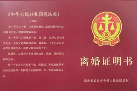 电话预约就可以领离婚证明书图片