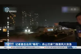 记者直击台风“梅花”：舟山沈家门渔港风大浪急