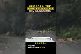 云南戍边民警巡边路上喜获满地鸡枞图片