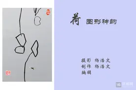 荷——图形神韵图片