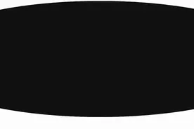 长江口发现一尾野生中华鲟，市民及时放生，野生动物保护意识获专业人士点赞图片