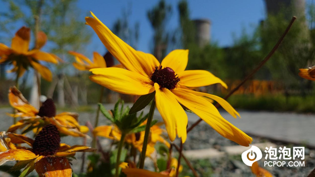 精致小机身轻巧好手感 微单手机索尼Xperia 5 IV评测