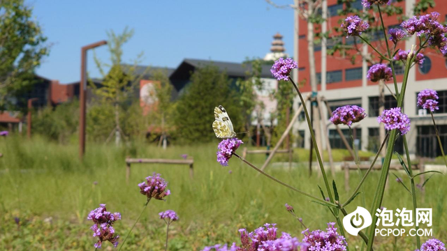 精致小机身轻巧好手感 微单手机索尼Xperia 5 IV评测