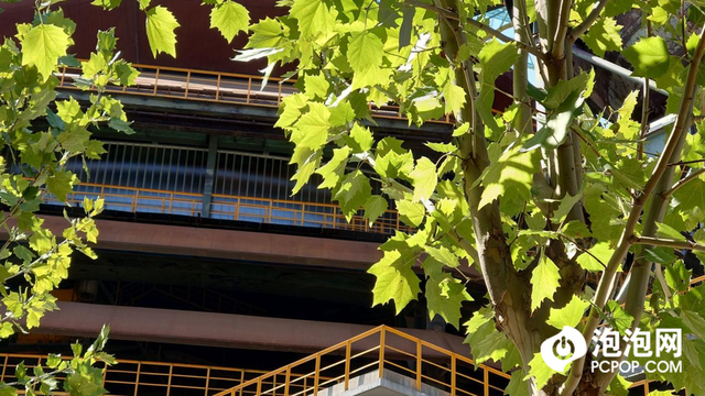 精致小机身轻巧好手感 微单手机索尼Xperia 5 IV评测