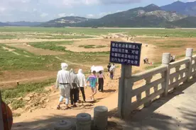 马上评｜鄱阳湖“汛期反枯”，湖滩湿地岂容肆意碾压？图片
