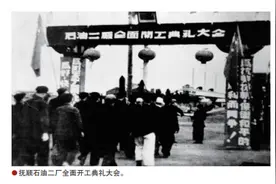 新中国人造石油枯木逢春图片