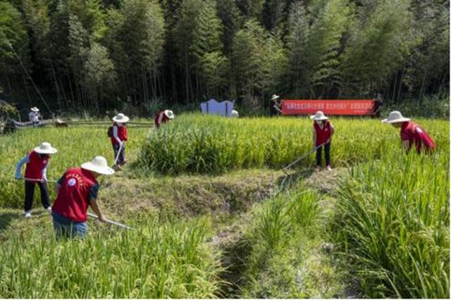 �����ֲ"ϣ����"���ⳡ��������⵳�ջ��������