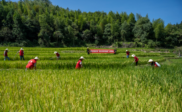 �����ֲ"ϣ����"���ⳡ��������⵳�ջ��������