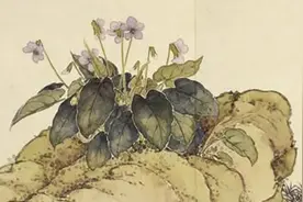 夜读 | 谢谢你，我的知己图片