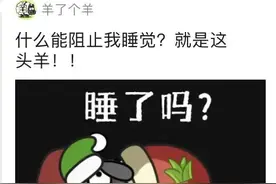 日赚400万元？第二关没人能过？“羊了个羊”创始人回应图片