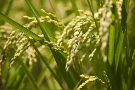 有些病是省出来的！这4种行为，快趁早改图片