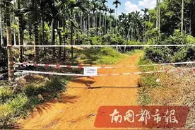 海口一男子惨遭蜂群围攻，被严重蜇伤需血液透析图片