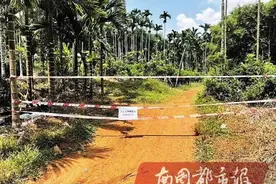 海口一男子惨遭蜂群围攻，被严重蜇伤需血液透析图片