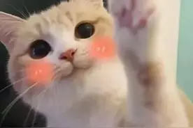 这应该是大学课表，不确定，我再看看图片