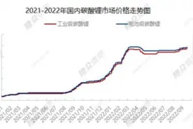 百元股票“0元购”，锂业巨头回复交易所：员工持股计划不会损害上市公司及中小股东利益图片