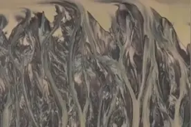 大自然的杰作：钱塘江大潮退潮后，滩涂上形成大片“潮汐树”视频封面