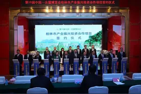 东博会首日桂林签约41个项目，总投资413.73亿元图片