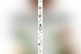 36岁歌手患口腔癌去世 一图看懂一级致癌物——槟榔极简史图片