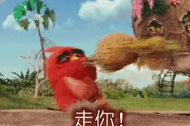 注意！厦门街头惊现“愤怒的小鸟”！见人就啄，快躲开……图片