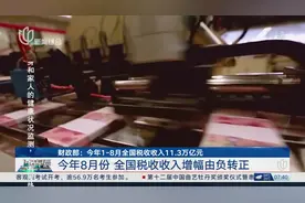 财政部：今年1-8月全国税收收入11.3万亿元 今年8月份 全国税收收入增幅由负转正视频封面