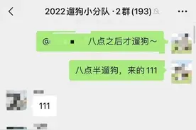 遛狗群：可以了，没有狗了！狗子：1天遛8遍，我都瘦了图片