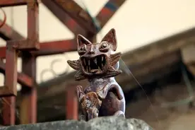 上房不揭瓦，可爱又威猛！这只喵星人不一样图片