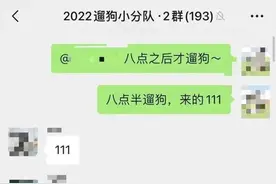 上海一大学学生争相遛狗，狗子：1天遛8遍，我都瘦了！发生了什么？图片