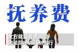养娃17年花46万，上海一女子向前夫索要一半抚养费，被法院驳回图片