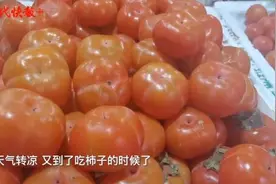 今年大“柿”晚成，野生小柿子霸占水果店C位，它谁？图片