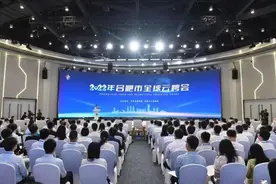 近2.5万个岗位“云上约”安徽合肥向全球人才抛出“橄榄枝”图片
