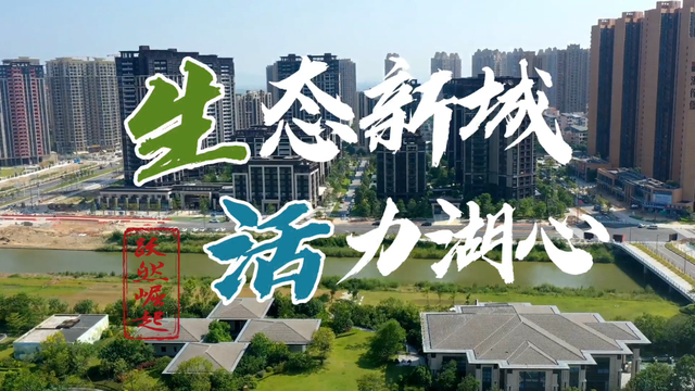 ������ָ���л�����ȡ���񣡺����³Ƕ���Ƶ����ͶƱ��ʼ��