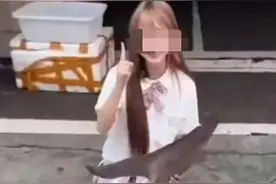 “网红博主烹食噬人鲨”事件结果公布，违法者迟早翻车图片