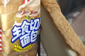 女生称在面包中吃出蛆虫：与厂家未协商一致，已向12315反馈视频封面