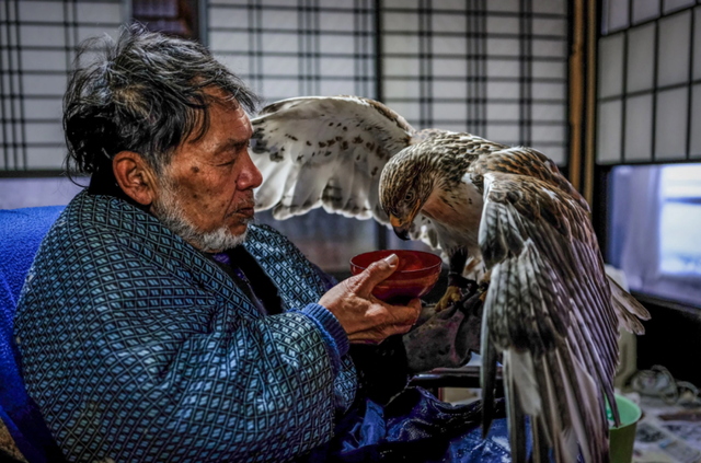 ��ÿ��һ�򲽡���Դ��Ӫ�����ح��봽��� Vol.20